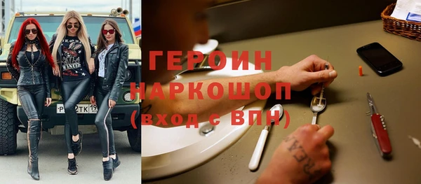 индика Богданович