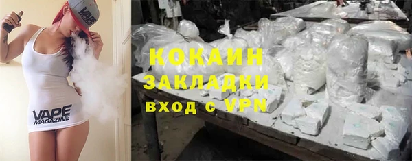 индика Богданович