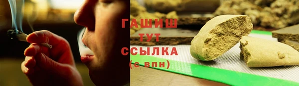 индика Богданович