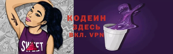 индика Богданович