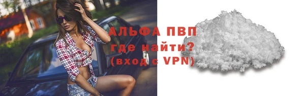 индика Богданович