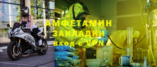индика Богданович