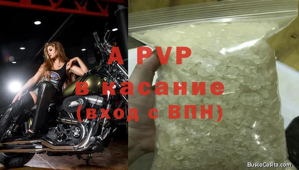индика Богданович