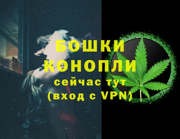 прущие грибы Покров