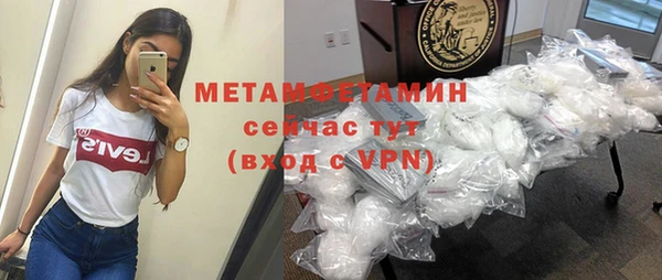 индика Богданович