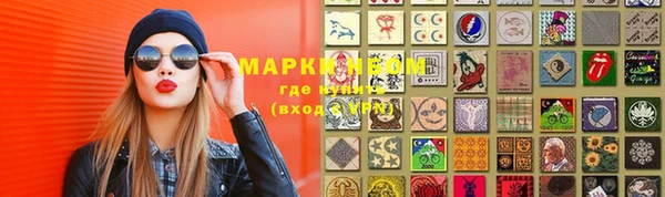 индика Богданович