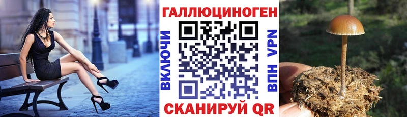 Галлюциногенные грибы Magic Shrooms  цена   Сковородино 